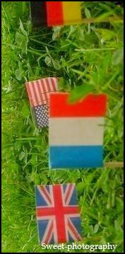 Flags make the world